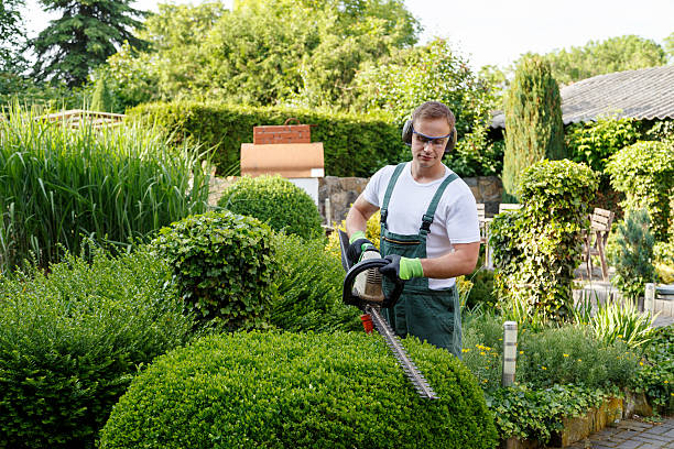 Lawn Irrigation Installation and Maintenance in Cashmere, WA